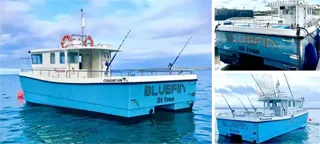 Bluefin